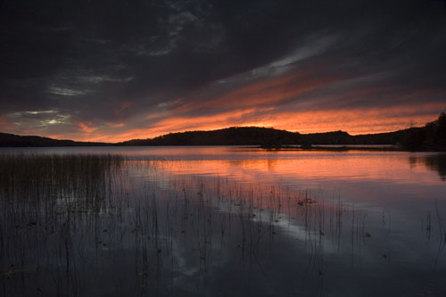 Algonquin01