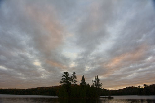 Algonquin15