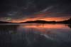 Algonquin01