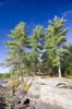 Algonquin06