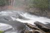 Algonquin11