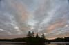 Algonquin15