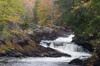Algonquin16