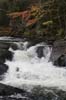 Algonquin17