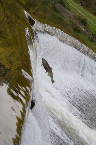 OldMill04